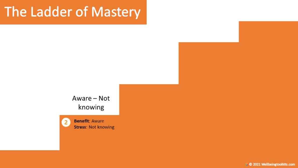 Levels Of Mastery: How To Achieve Mastery In Any Thing using the ladder of mastery. Level 2: Aware - not knowing