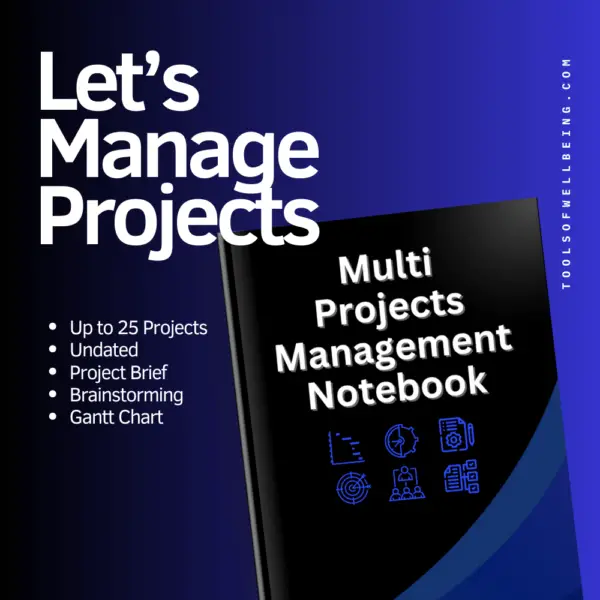 multi projects management notebook with details